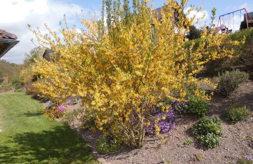 Ferienwohnung Schöne Aussicht - Foto 27