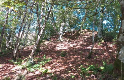 Craignavie Cottage - Foto 31