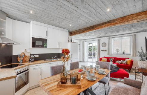 Admiral Vanessa - Foto 8