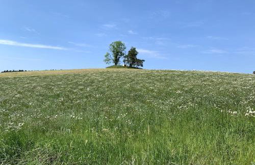 Helle Loft mit eingenem Garten - Photo 28