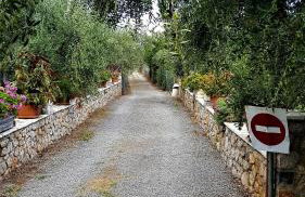 Manto Studios - Photo 8