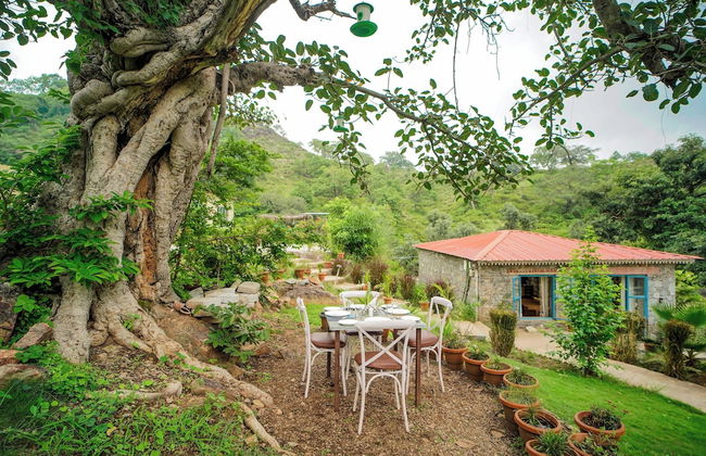 Turban Nature Wilderness Kumbhalgarh - Foto 8