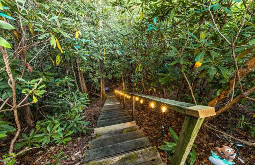 The Treehouse - Foto 38