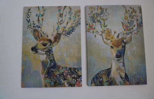 Appartement "PANNA" centre ville de VITRÉ - Foto 7