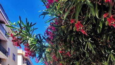 Appartamento Isabella - Foto 3