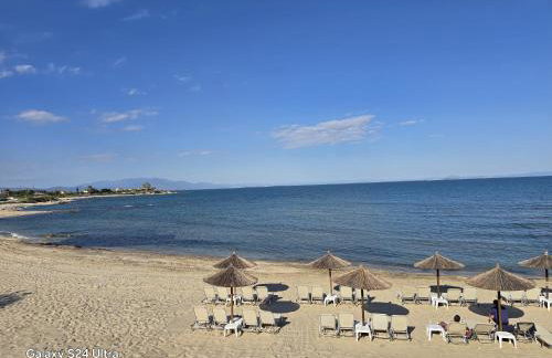 Angelo Apartments - Photo 16