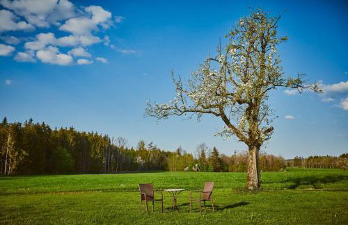 Himmelferien Studio and wonderful garden - Foto 11