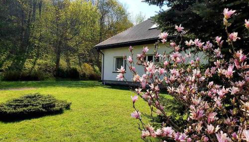 Bieszczadzki Zakątek - Foto 3