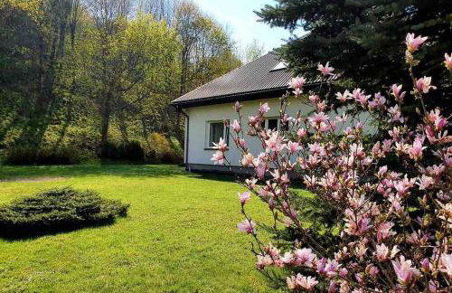 Bieszczadzki Zakątek - Foto 3