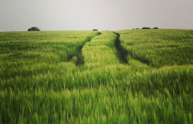 Libramont Stone Garden Haven - Photo 43