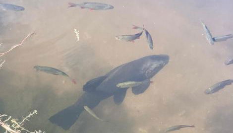 Bellows Mill - Photo 4