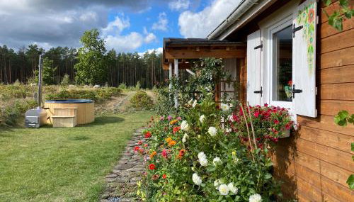 Różana Zagroda Agroturystyka - Foto 3, Garden view