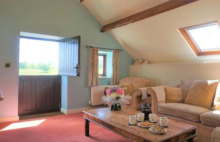 Shepherd's Watch Cottage - 5* Cyfie Farm with private hot tub - Foto 31