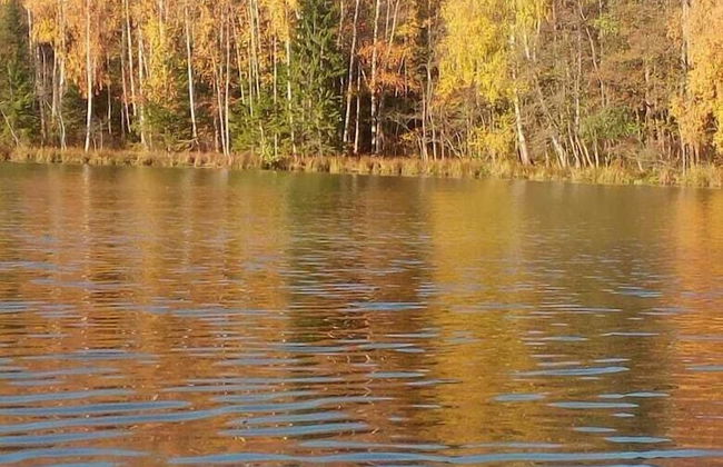 Far Cordon - Photo 16