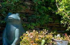 Refugios Del Valle Negro - Foto 32