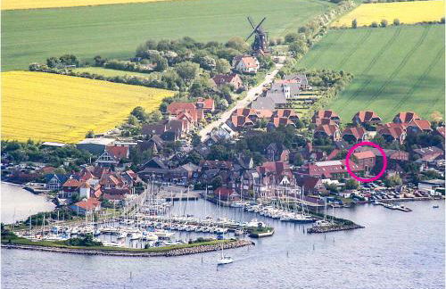 Helle Stuuv - Foto 34