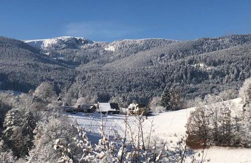 Au croque nature - Foto 7