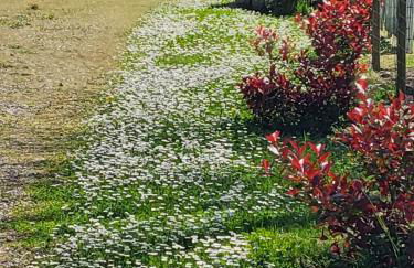 La Bonne Vie Gite - Foto 29