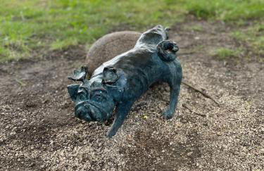 Wohnen in Loriots Wasserstadt mit Kamin und MagentaTV - Foto 13