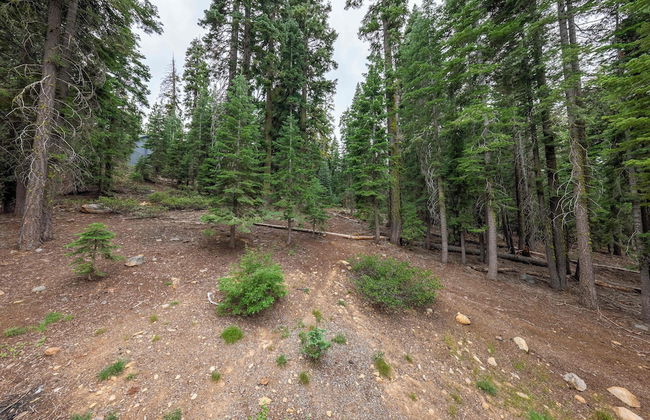 Modern Lake Tahoe Retreat Ski and Swim - Foto 18