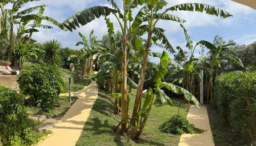 Appartamento I Banani - Foto 2, Garden