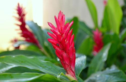 Residencial Portinari LTDA - Foto 68