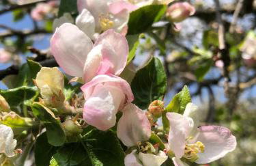 Alpenblick 3 - Photo 18