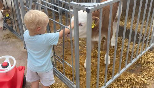 Ferienhof Roller - Foto 5