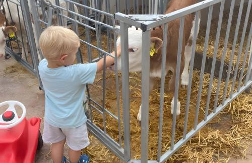 Ferienhof Roller - Foto 5