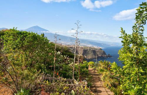 Holidays for the Soul - Photo 26