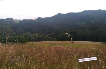 Casa Patrizia - Foto 32