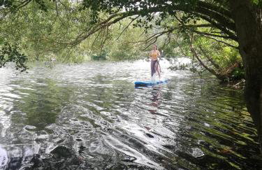 Haus Rosenbusch - Foto 27