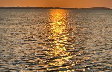 Peeneurlaub - Foto 65