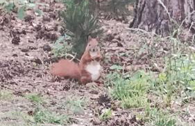 Apartament Nad Jeziorem Brenno - Foto 21