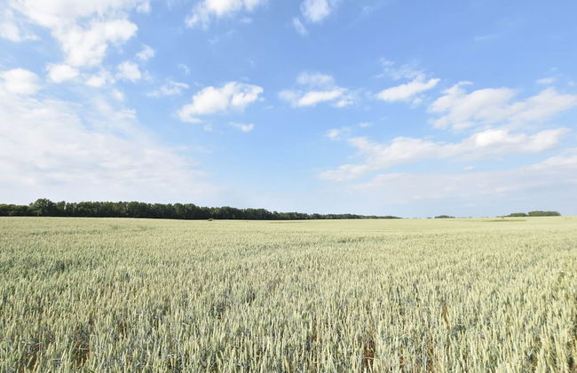 Comfortable Apartment in Quaint Holiday Village - Foto 51