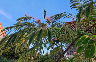 Ferienwohnung Auszeit - Foto 19
