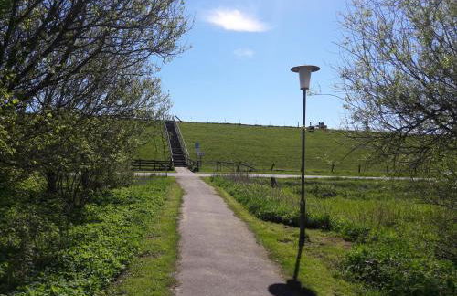 Büsumer blaue Krabbe - Foto 34