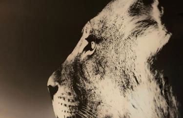 Deluxe Design - City Center Cosy Apartments - Foto 19