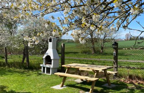 Reethaus Vilmnitz - Ferienwohnung Goor - Foto 51