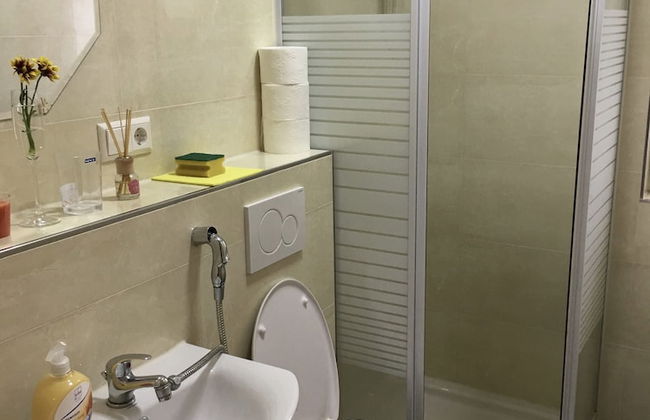 Sahara Falcon - Foto 44