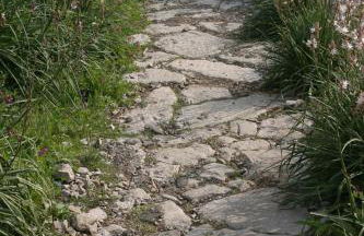 Gli Ulivi Agriturismo - Foto 144