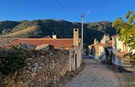 My Grandmas A casa das avós - Foto 20