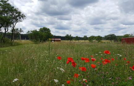 Ferienhaus Uckermark pur - Photo 11