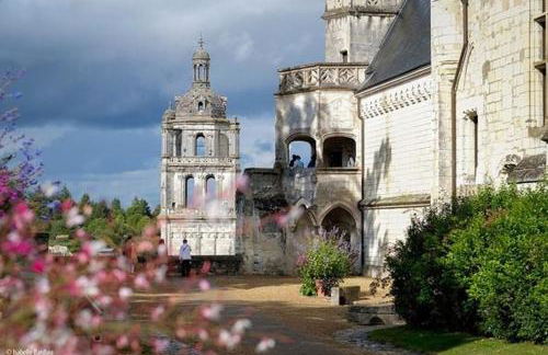 Au pied de la tour Saint Antoine - Foto 15