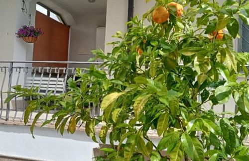 San Nanni House - Foto 16