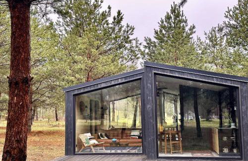 100 Drzew - Leśny Klimat Mazur - Foto 5