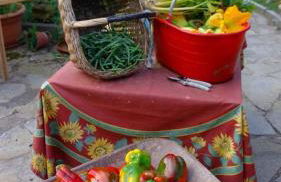 suite in cascina affittacamere - Photo 20