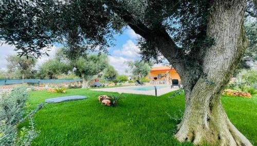 3724 All' Ombra Degli Ulivi by Barbarhouse - Foto 4