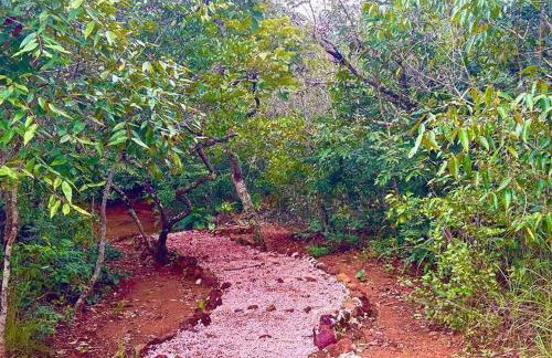 Casa para relaxar em Chapada dos Guimarães - Foto 27