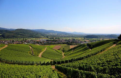 Annas Scheune - Foto 45